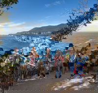 Historic Port Arthur Day Trip from Hobart Including Cliff-Top Walk to Waterfall Bay - Accommodation Broadbeach
