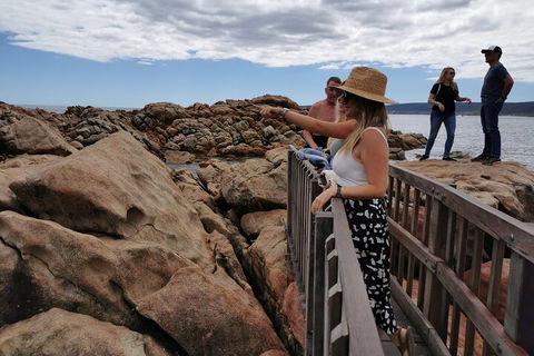 Margaret River Impression Day Tour From Perth - Accommodation Broadbeach 4