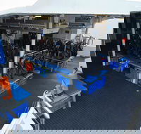 Silverswift Outer Great Barrier Reef Dive and Snorkel Cruise from Cairns - Accommodation Broadbeach