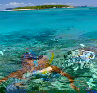 Green Island Day Trip Including Seawalker Helmet Dive COMBO - Accommodation Broadbeach