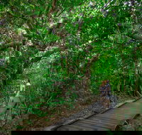 Green Island Eco Adventure from Cairns - Accommodation Broadbeach