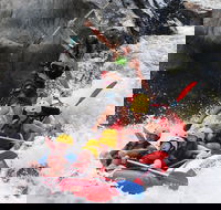 Barron Gorge National Park Half-Day White Water Rafting from Cairns or Port Douglas - Accommodation Broadbeach