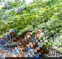 Cape Tribulation Mossman Gorge and Daintree Rainforest Day Trip from Cairns or Port Douglas - Accommodation Broadbeach