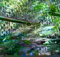 Double Pack-Ancient Rainforest and Waterfalls - Accommodation Broadbeach