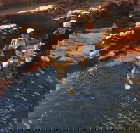 One Day Litchfield Park Adventures - Accommodation Broadbeach