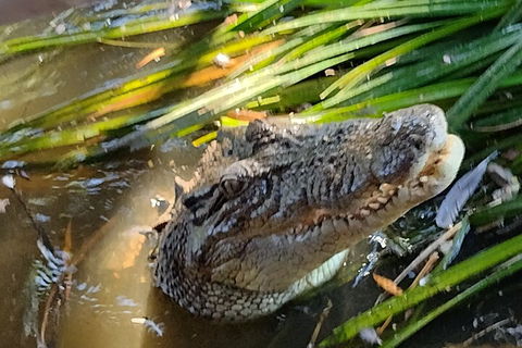 Litchfield Park Adventures And Jumping Crocodile Cruise + Butterfly Farm - Accommodation Broadbeach 4
