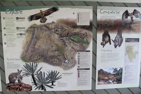 Jumping Crocodile Cruise And Berry Springs Nature Park - Accommodation Broadbeach 2