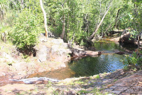 Jumping Crocodile Cruise And Berry Springs Nature Park - Accommodation Broadbeach 3