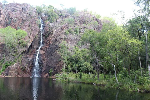 Jumping Crocodile Cruise And Berry Springs Nature Park - Accommodation Broadbeach 5