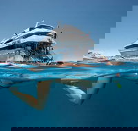 3 Day Great Barrier Reef Daintree Rainforest and Outback Chillagoe Tour - Accommodation Broadbeach