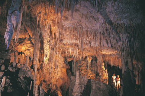 2-Day Margaret River Wine Experience From Perth - Accommodation Broadbeach 2