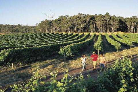 2-Day Margaret River Wine Experience From Perth - Accommodation Broadbeach 3