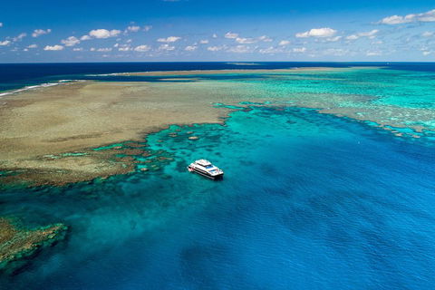 Calypso Outer Great Barrier Reef Cruise From Port Douglas - Accommodation Broadbeach 1