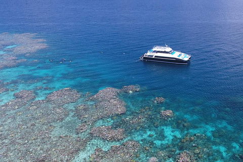 Calypso Outer Great Barrier Reef Cruise From Port Douglas - Accommodation Broadbeach 4