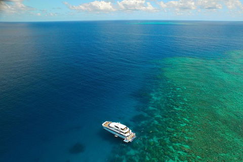 Great Barrier Reef Snorkeling And Diving Cruise From Cairns - Accommodation Broadbeach 4