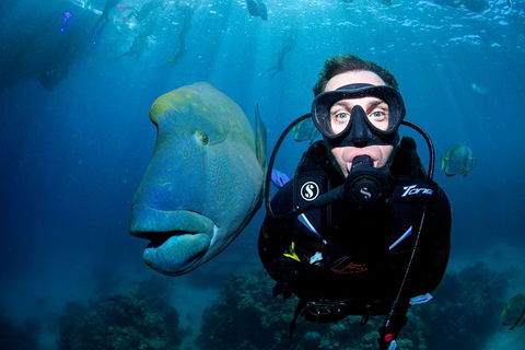 Full Day Reef Cruise Including 10 Minute Heli Scenic Flight: Get High Package - Accommodation Broadbeach 1