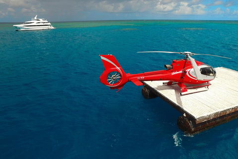 Full Day Reef Cruise Including 10 Minute Heli Scenic Flight: Get High Package - Accommodation Broadbeach 3