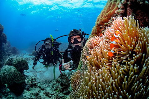 Full Day Reef Cruise Including 10 Minute Heli Scenic Flight: Get High Package - Accommodation Broadbeach 5