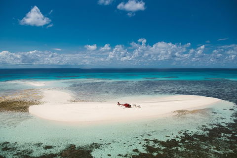 Private Helicopter Tour: Reef Island Snorkeling And Gourmet Picnic Lunch - Accommodation Broadbeach 4