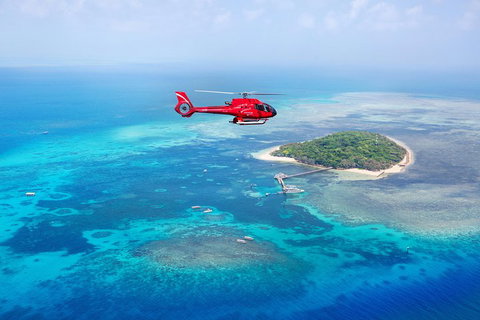Fly To Green Island - Cruise Return - Accommodation Broadbeach 3