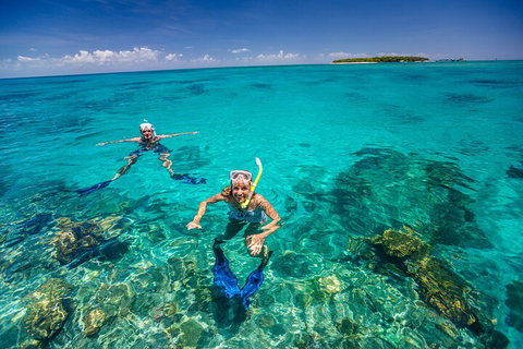 Fly To Green Island - Cruise Return - Accommodation Broadbeach 4