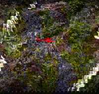 Ultimate Great Barrier Reef and Rainforest 45-minute Helicopter Tour - Accommodation Broadbeach