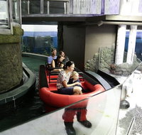 Sydney Attractions Pass SEA LIFE Aquarium Sydney Tower Eye WILD LIFE Zoo and Madame Tussauds - Accommodation Broadbeach