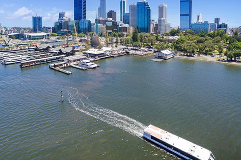 Summer Lunch Cruise - Accommodation Broadbeach 2