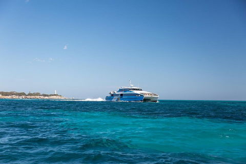 Rottnest Island Bike & Ferry Package From Perth - Accommodation Broadbeach 2