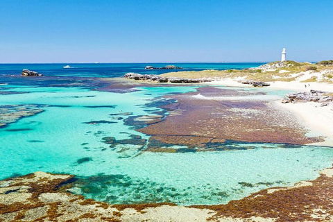 Rottnest Island Bike, Snorkel & Ferry Package From Perth - Accommodation Broadbeach 5