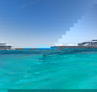 Rottnest Island Bayseeker Day Trip from Perth - Accommodation Broadbeach