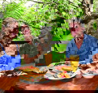 Breakfast with the Koalas at Hartley's Crocodile Park from Cairns or Palm Cove - Accommodation Broadbeach