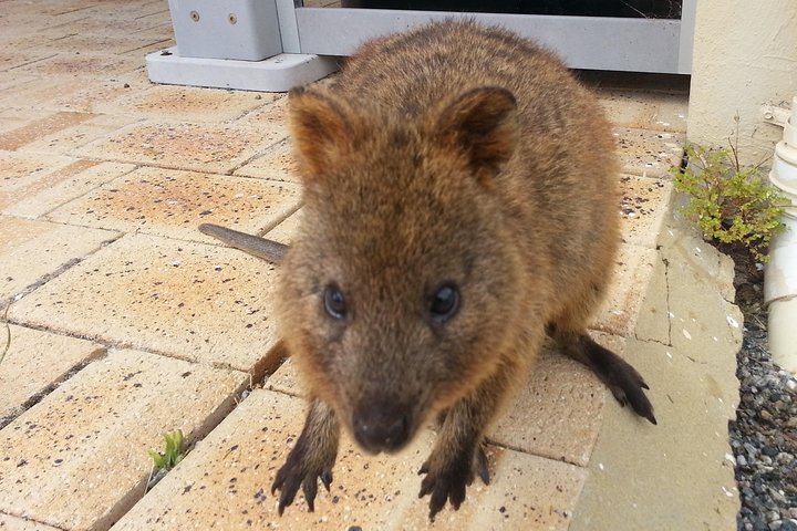 City Delivery Centre WA Accommodation Broadbeach