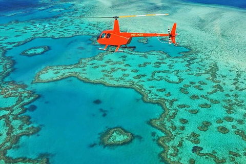 Whitehaven Heli Tour - Accommodation Broadbeach 3