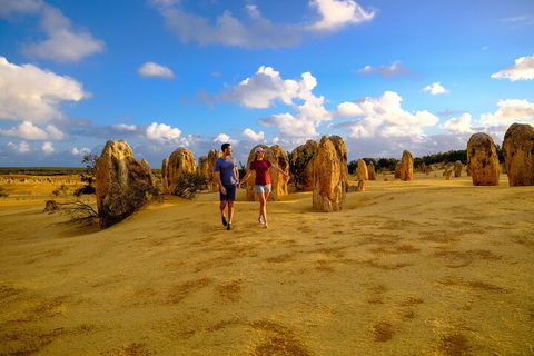 Half Day Pinnacles Sunset Tour - Accommodation Broadbeach 1
