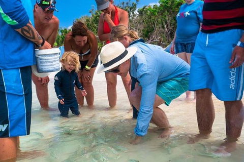 Whitehaven Beach And Hamilton Island Cruise - Accommodation Broadbeach 1