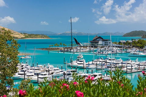 Whitehaven Beach And Hamilton Island Cruise - Accommodation Broadbeach 3