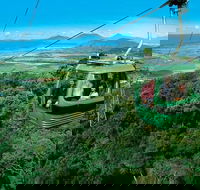 Kuranda Rainforest station Scenic railway and Skyrail tour - Accommodation Broadbeach