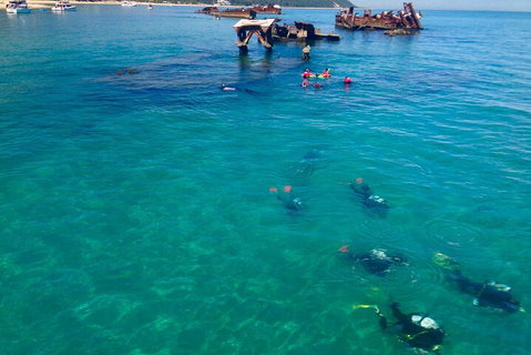 Adventure Moreton Island Scuba Dive Tour - Accommodation Broadbeach 0