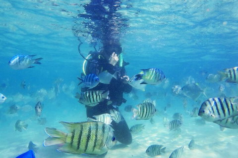 Adventure Moreton Island Scuba Dive Tour - Accommodation Broadbeach 1