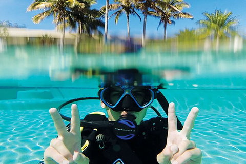 Adventure Moreton Island Scuba Dive Tour - Accommodation Broadbeach 2
