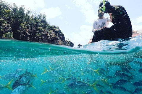 2 Night Small Group Whitsundays Sailing Adventure Aboard Mandrake - Accommodation Broadbeach 5