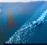 2-Night Whitsunday Islands Sailing Adventure on Trimaran Avatar - Accommodation Broadbeach