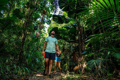 Full Day Daintree Rainforest And Mossman Gorge Tour - Accommodation Broadbeach 0