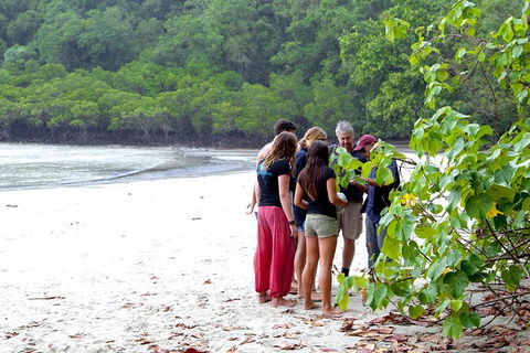 Full Day Daintree Rainforest And Mossman Gorge Tour - Accommodation Broadbeach 2