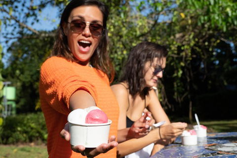 Full Day Daintree Rainforest And Mossman Gorge Tour - Accommodation Broadbeach 3