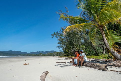 Full Day Daintree Rainforest And Mossman Gorge Tour - Accommodation Broadbeach 4