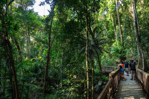 Full Day Daintree Rainforest And Mossman Gorge Tour - Accommodation Broadbeach 5