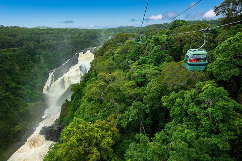 Cairns ATV Adventure Tour And Morning Skyrail - Accommodation Broadbeach 3