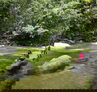 Daintree Dreaming Traditional Aboriginal Fishing from Cairns or Port Douglas - Accommodation Broadbeach